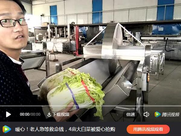 白菜劈半機