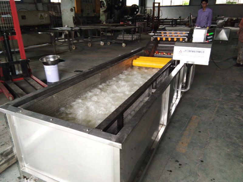 山東多功能蔬菜氣泡清洗機(jī)